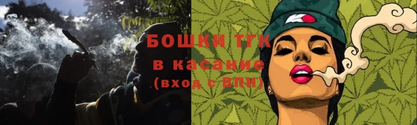 индика Вяземский