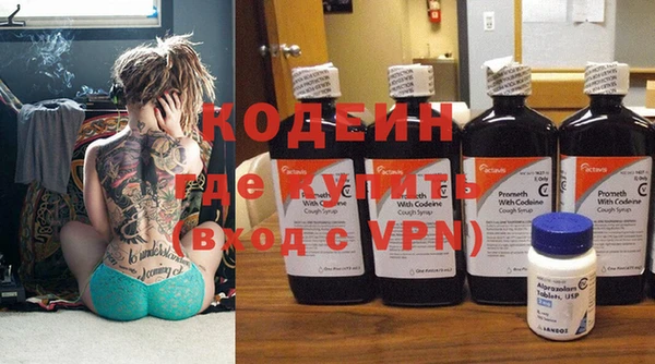 индика Вяземский