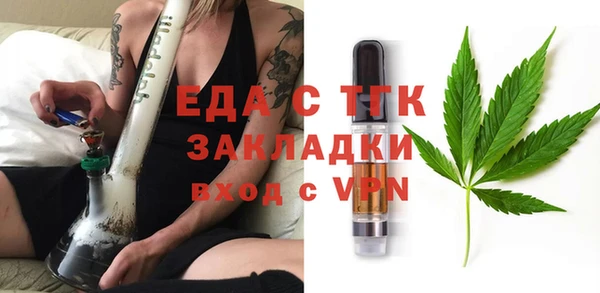 индика Вяземский