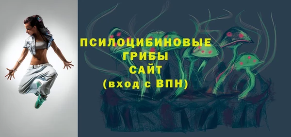 индика Вяземский