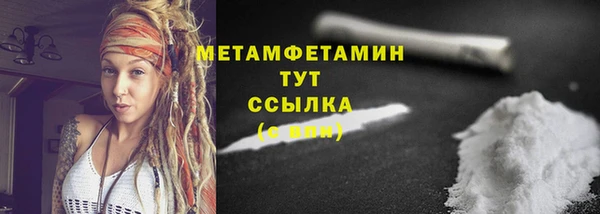 индика Вяземский