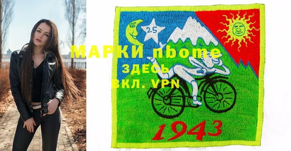 индика Вяземский