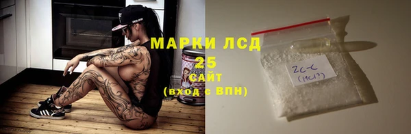 индика Вяземский