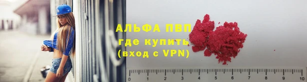 индика Вяземский