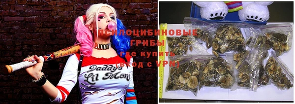 индика Вяземский