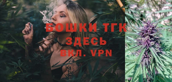 индика Вяземский