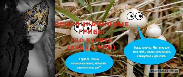 дмт Вязьма