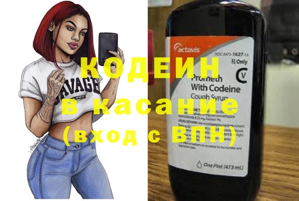 индика Вяземский