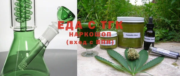 индика Вяземский