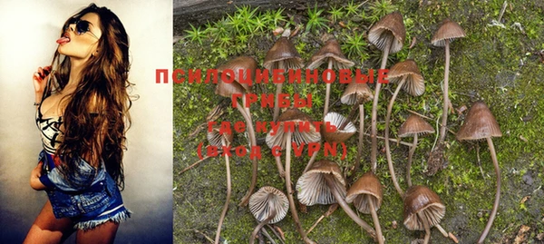 индика Вяземский