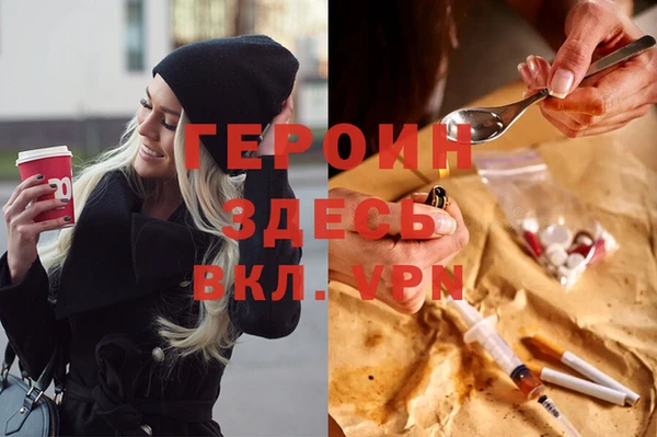 индика Вяземский