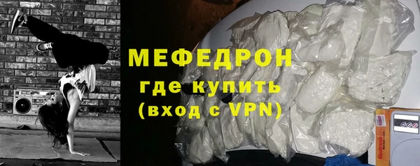 индика Вяземский