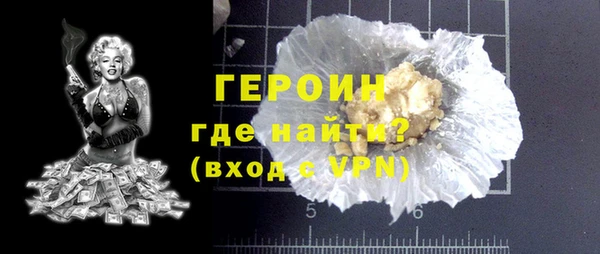 индика Вяземский