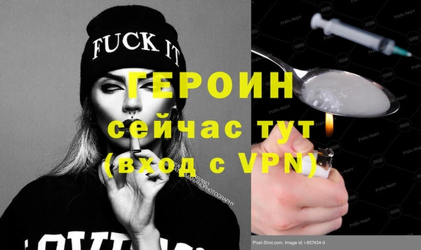 индика Вяземский