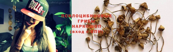 дмт Вязьма